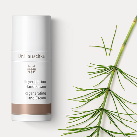 DR.HAUSCHKA Atjaunojošs roku krēms 50 ml