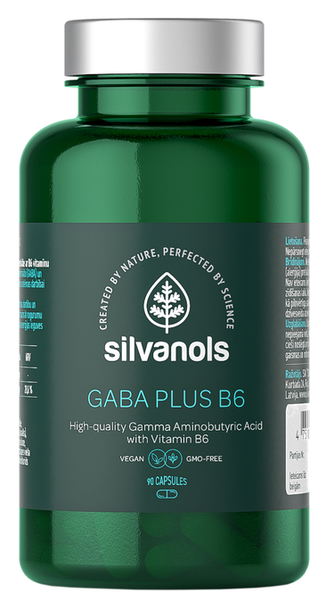 SILVANOLS Gaba Plus B6, 90 kapsulu komplekts