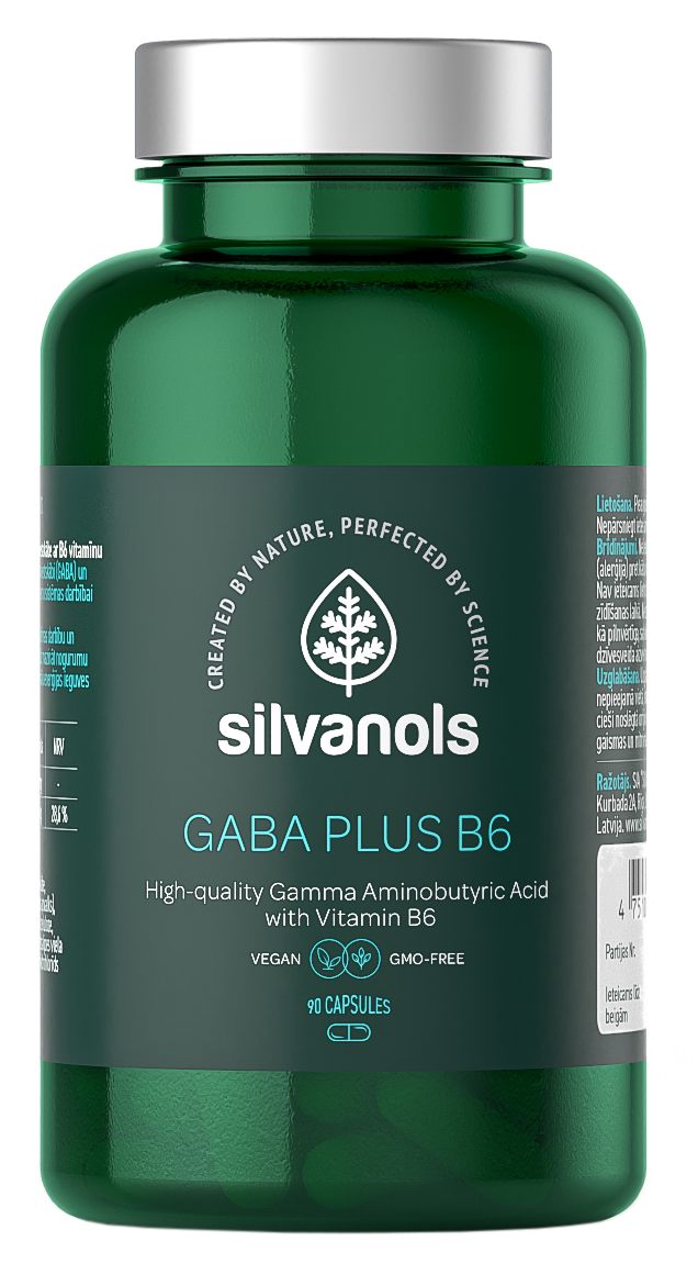 SILVANOLS Gaba Plus B6, 90 kapsulu komplekts