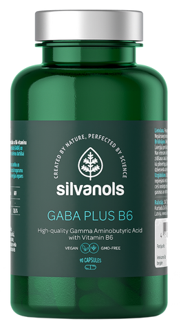 SILVANOLS Gaba Plus B6, 90 kapsulu komplekts
