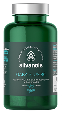 SILVANOLS Gaba Plus B6, 90 kapsulu komplekts